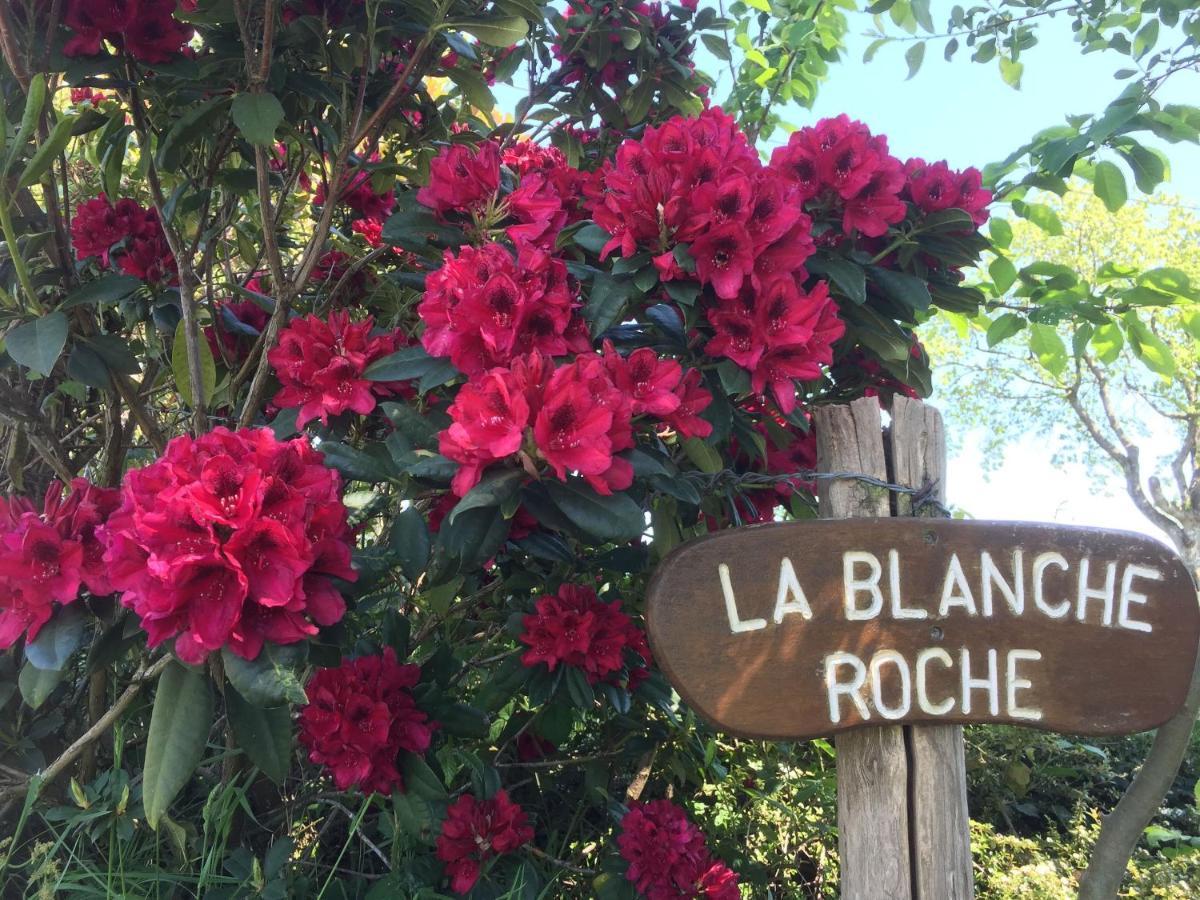 La Blanche Roche Bed and Breakfast Sourdeval Exteriör bild